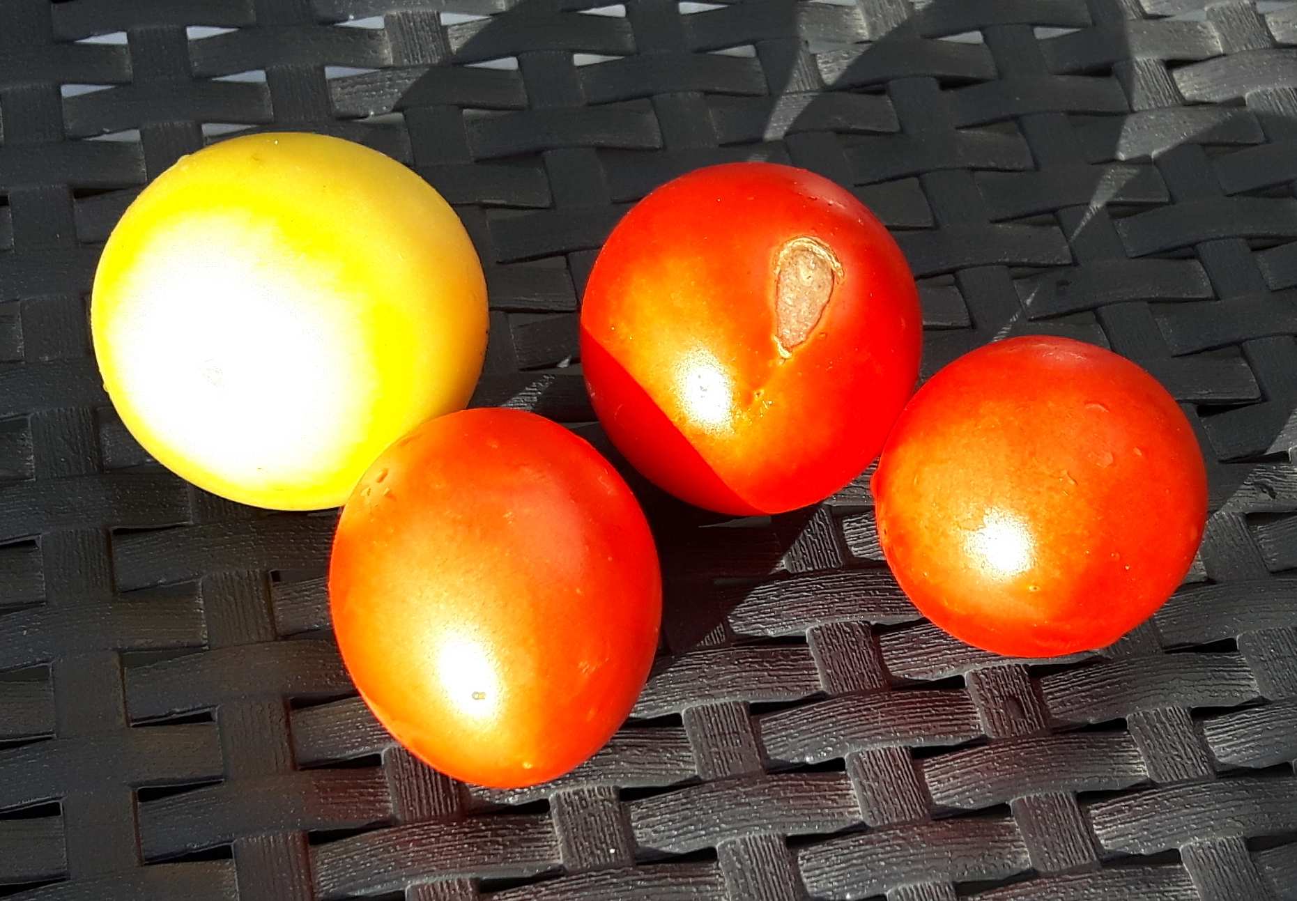 1:1 tomatoes by Pawel